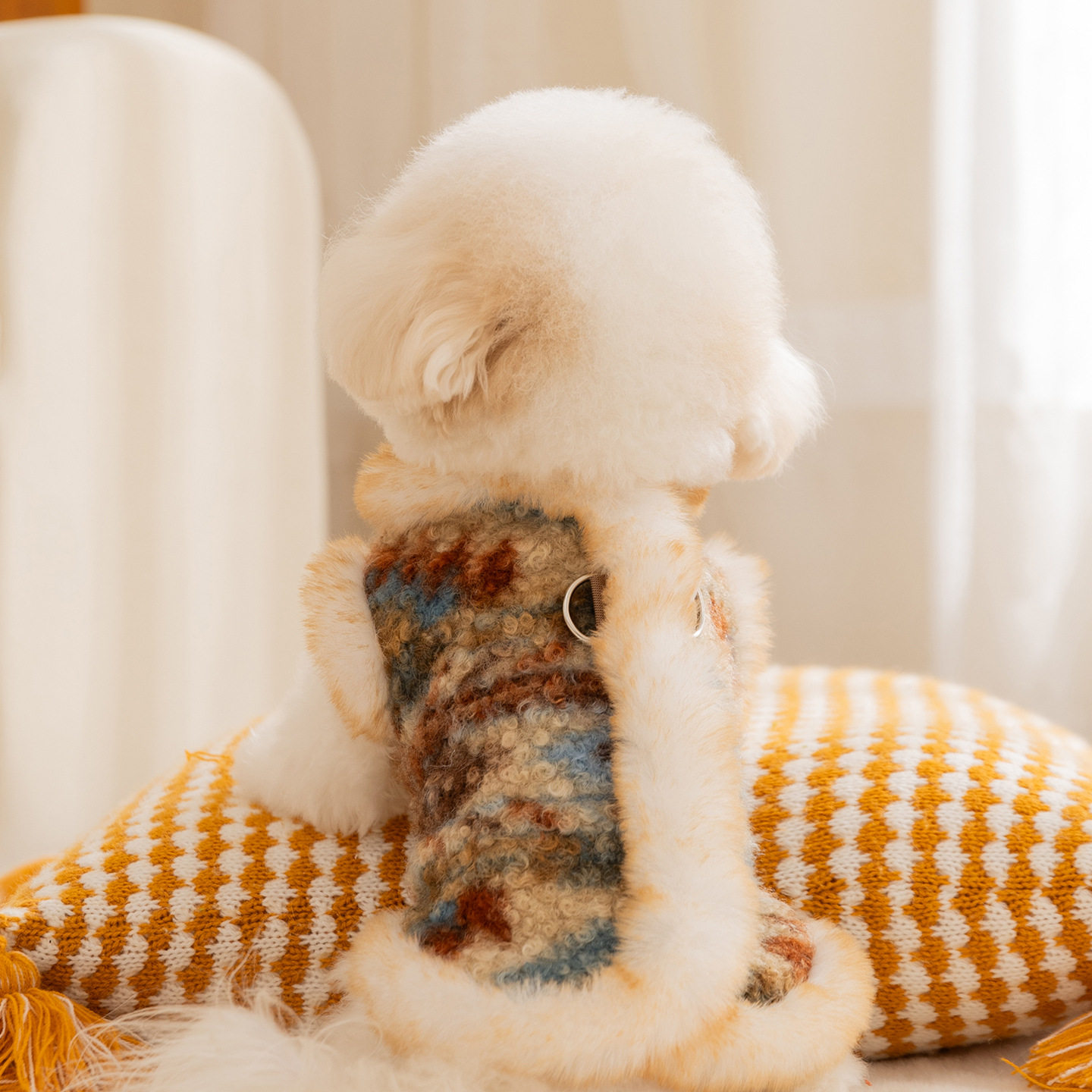 宠物衣服比熊泰迪费尔岛圈圈绒马甲秋冬季保暖可牵引猫咪狗狗衣服