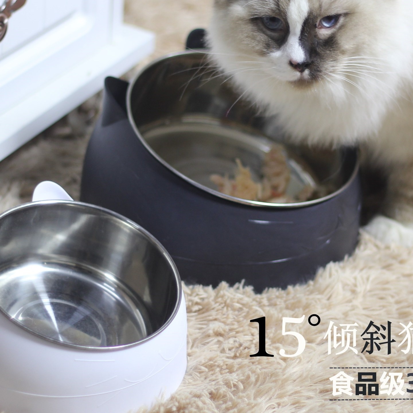 网红不锈钢猫碗狗碗双碗保护颈椎猫碗斜口爆款宠物食盆猫咪用品