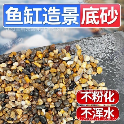 天然溪流石鱼缸铺底砂原生溪流底砂水族箱装饰造景小石子石头