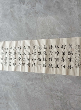 定风波 楷书 王忠华手写书法办公室客厅茶室书房大堂装饰字画