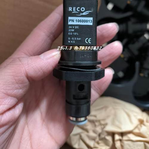 RECO电磁阀PN10600001/24V