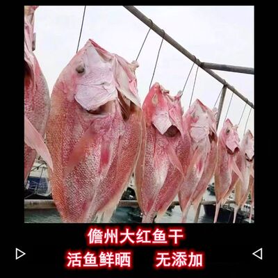 红鱼干干货淡干海南儋州红鱼干海鲜干货特级土特产深海咸鱼干中段
