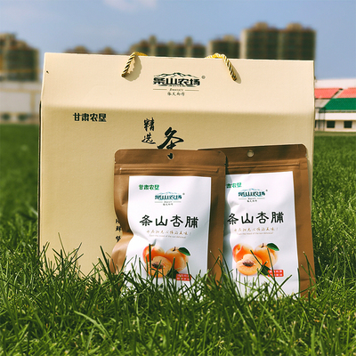 条山杏脯小袋条山农场