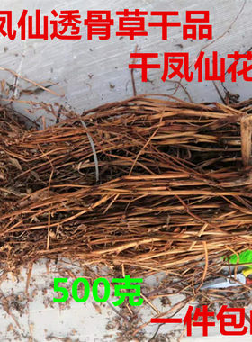 中药材凤仙花一件包邮