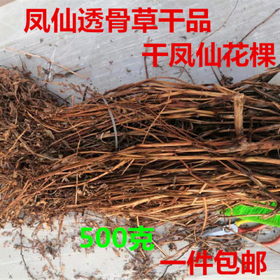 中药材凤仙花一件包邮