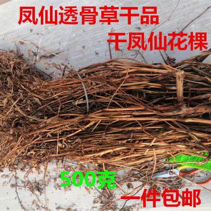 中药材凤仙花全棵透骨草茎枝指甲草棵茎可打粉药用泡脚一件包邮