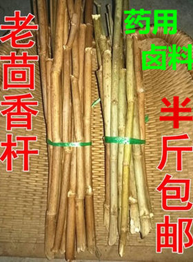 小茴香苗新货茴香干品调料煲汤