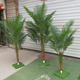 仿真绿植假椰子树叶子散尾葵凤尾竹植物棕榈树叶造景观装 饰塑料花