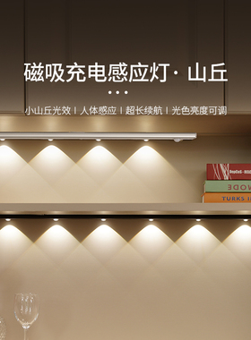 fsl佛山照明led人体感应灯带充电感应灯橱柜衣柜人来即亮无线灯条