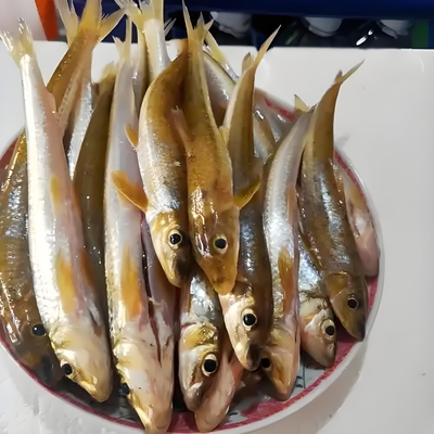 温州泰顺，小溪坑沟，新鲜沙沟花棍子鱼，净膅破肚，1000g