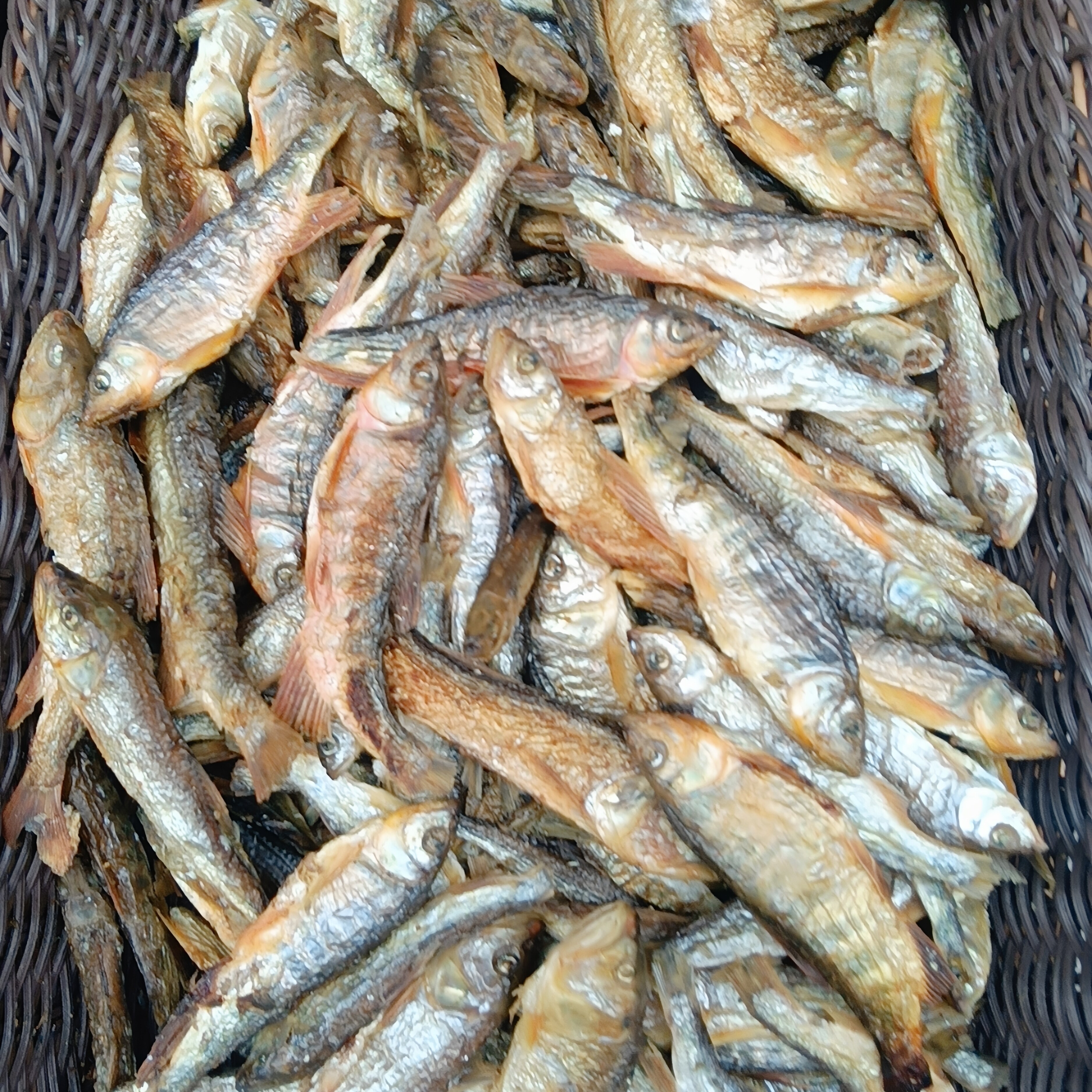 温州泰顺小溪坑沟淡水锅焙马口小溪白开袋即食500g