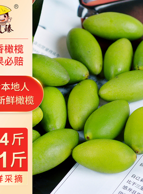 闽臻新鲜檀香橄榄2026农家自种橄榄福建福州闽清特产水果500g袋装