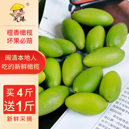 福建特产袋装新鲜橄榄