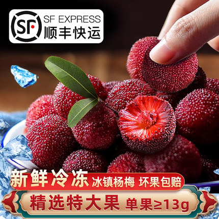 顺丰发货_闽臻冰杨梅特大果漳州全圣德新鲜杨梅冰球冰镇冷冻杨梅