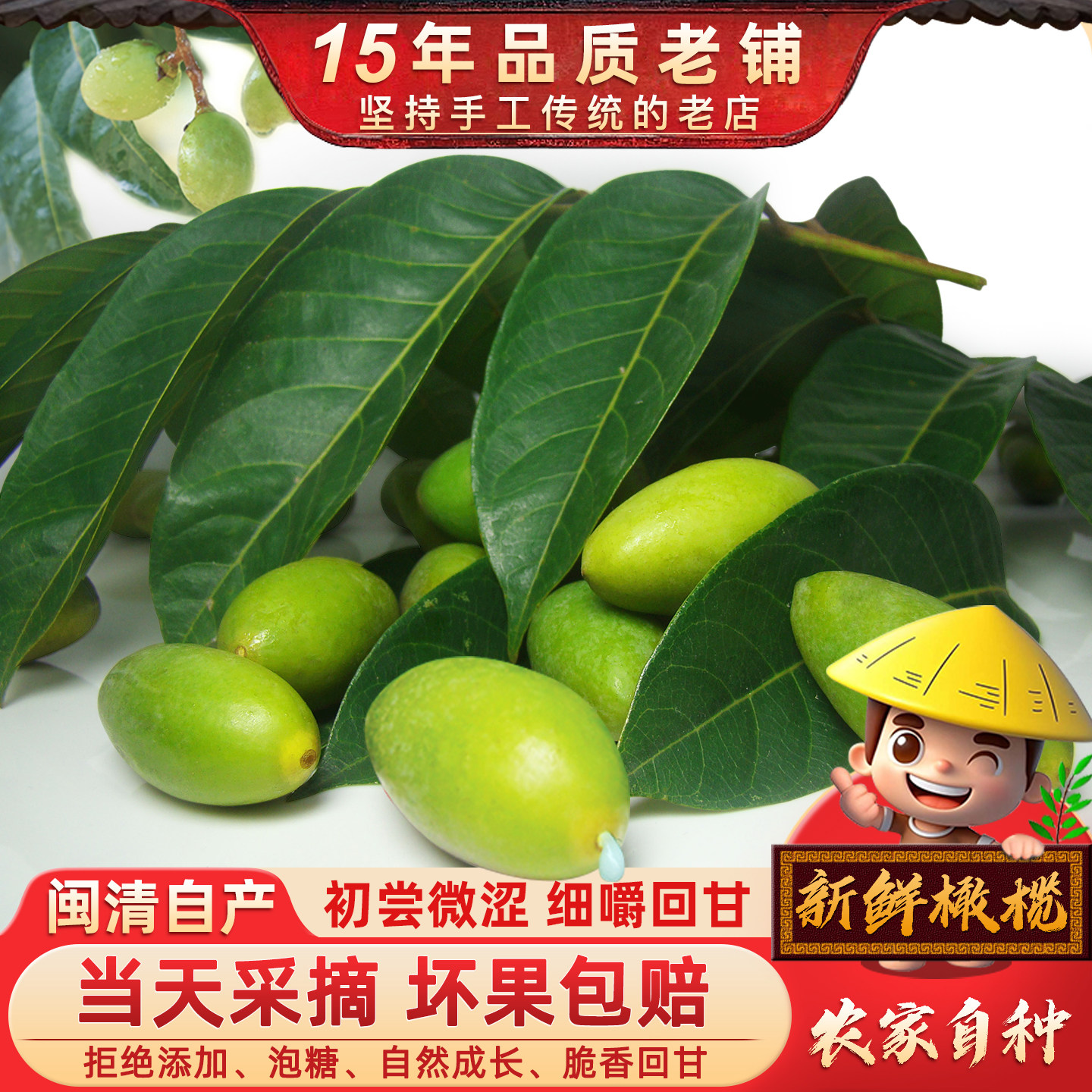 新鲜采摘青橄榄果新鲜檀香橄榄500g福建福州闽清特产水果