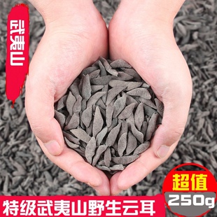 武夷山特级野生云耳岩耳小秋耳石耳老鼠耳小碗耳干货非东北木耳