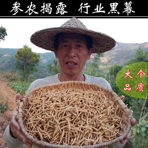 正宗精品太子参纯野生无硫200g