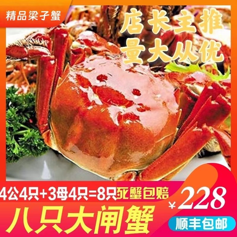 鲜活4两8只礼盒装公蟹
