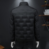 2025冬季新款90%白鸭绒翻领暗花羽绒服钱塘6011-6966P240假模，男装羽绒服，钱塘6011