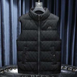 2025冬季新款高品质90%白鸭绒羽绒马甲  6011-9957  P285 假模图片