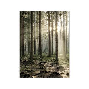 Wall Print Canvas Painting Picture Art Nature Postes Scenery
