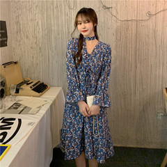 Real shot floral V-Neck long sleeve dress