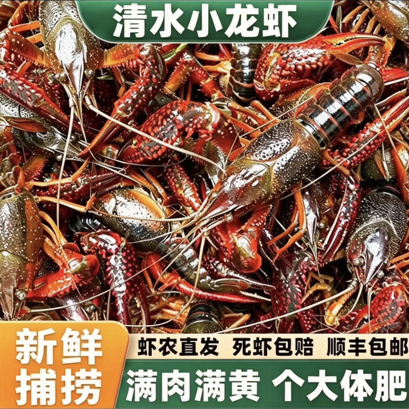 【活虾】湖北小龙虾鲜活潜江清水虾淡水活体特大新鲜青红壳虾顺丰
