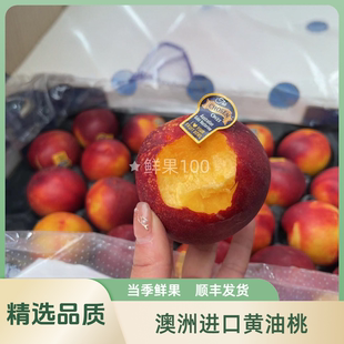 当季澳洲金腰带黄肉油桃黄金蜜桃香甜黄金桃子新鲜水果发顺丰