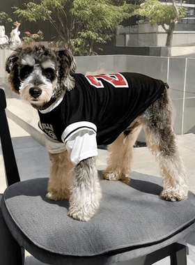 狗狗衣服夏季薄款网眼假两件球衣雪纳瑞透气舒适衣服网红猫咪衣服