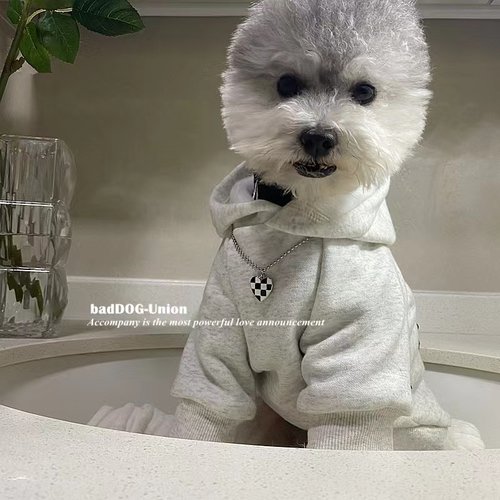 狗狗衣服秋冬灰白色复古帽衫猫咪衣服新款宠物潮牌加绒卫衣雪纳瑞