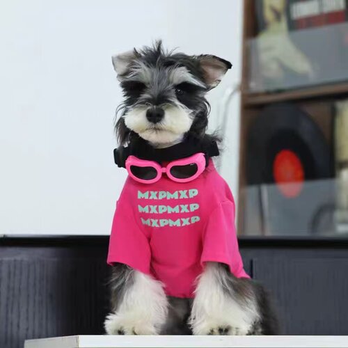 小型犬新款狗狗衣服春夏季薄款宠物小型犬雪纳瑞泰迪圆领T恤春秋 - 封面