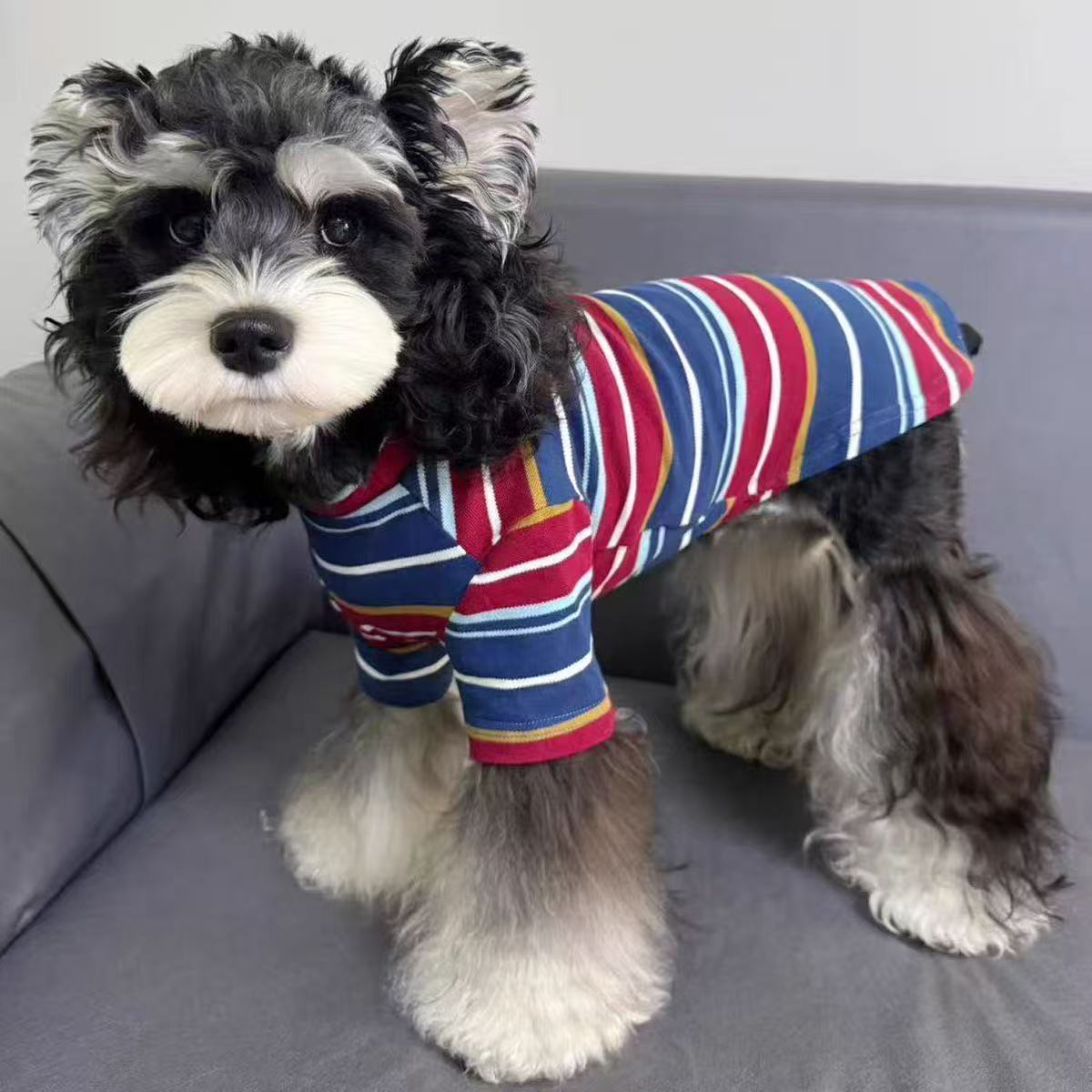 狗狗衣服潮流美式条纹春秋夏薄款