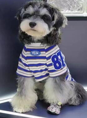宠物狗狗衣服春夏款猫咪小型犬法斗比熊雪纳瑞条纹新款背心薄款