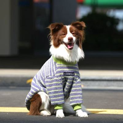 新款潮牌秋冬大型犬狗狗条纹