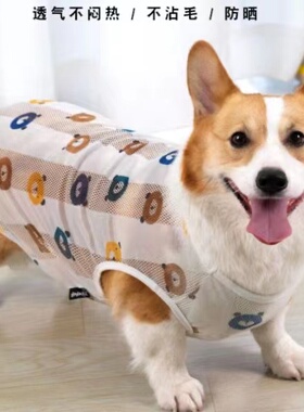 小型犬幼犬夏季四季防掉毛夏装宠物狗狗衣服夏天薄款春秋柯基背心