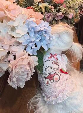 小体犬衣服宠物猫咪狗狗春夏薄款泰迪比熊马尔济斯约克夏背心秋冬