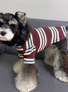 狗狗衣服秋冬可爱条纹宠物短袖泰迪雪纳瑞比熊小型犬猫咪衣服T恤