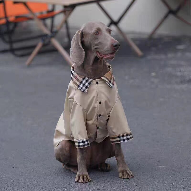 大型犬衬衫狗狗衣服春夏金毛拉布拉多防掉毛衣服边牧杜宾帅气衬衣