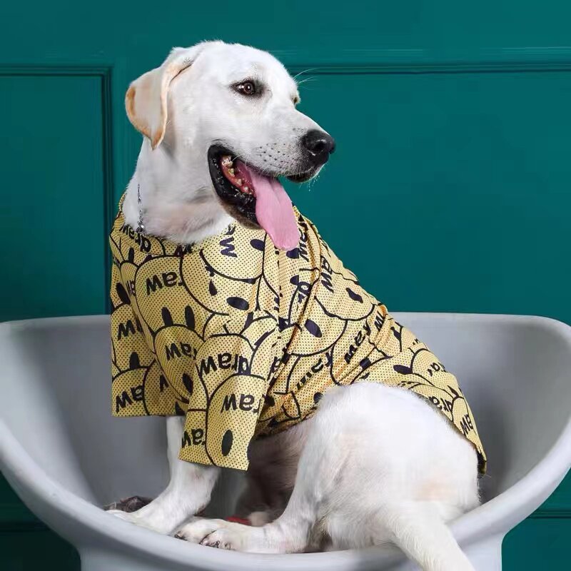 大型犬透气网眼薄款休闲防掉毛图片