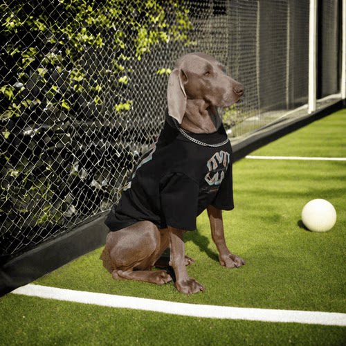 大型犬狗狗衣服夏季薄款狗狗衣服