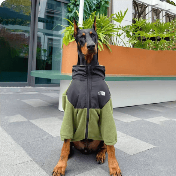 秋冬季新款中大型犬保暖外套狗狗