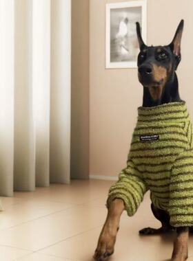 狗狗衣服中大型犬潮牌宠物温暖绒保暖卫衣拉布拉多金毛秋冬打底衫