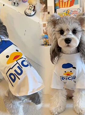 宠物衣服夏季薄博美雪纳瑞猫咪小型幼犬泰迪比熊贵宾狗狗衣服透气