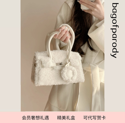 Bag of parody 羊羔毛高级感毛毛包包2023新款秋冬手提铂金斜挎包