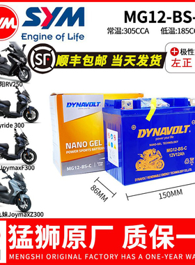 三阳九妹JoymaxZ300/九妹夫F300/Joyride300/RY180/250电瓶蓄电池