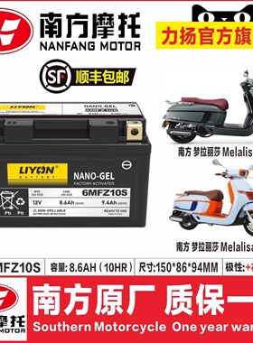 力扬摩托车蒙娜丽莎150飞戈150无极150GT布雷斯通极昼150ADV电瓶