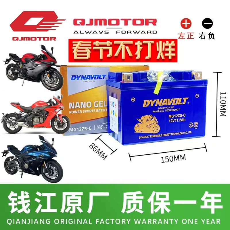 钱江追350追600赛250赛600赛400赛350逸550鸿150骁500闪300电瓶