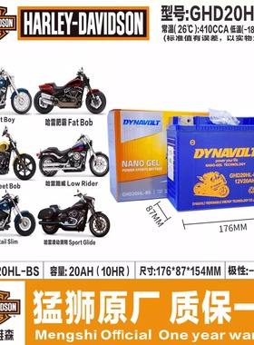 哈雷883 X48 1200 1250sportster S 1250Adv路威肥霸肥仔滑翔电瓶