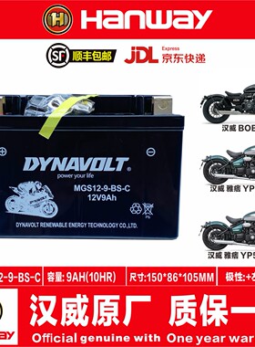 汉威HS125 Furlous250SC 250NK BOB400雅痞YP500B50雅痞YP520电瓶