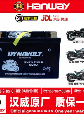 汉威HS125 Furlous250SC 250NK BOB400雅痞YP500B50雅痞YP520电瓶